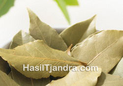 Bay Leaves Kering