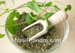 Marjoram