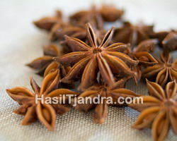 Pekak / Bunga Lawang / Star Anise