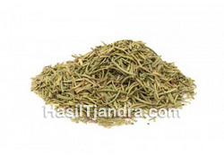 Dried Rosemary