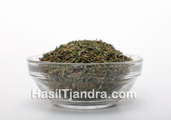 Thyme