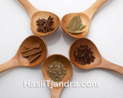 PD. HASIL TJANDRA JAYA - Chili, Spices & Herbs Specialist
